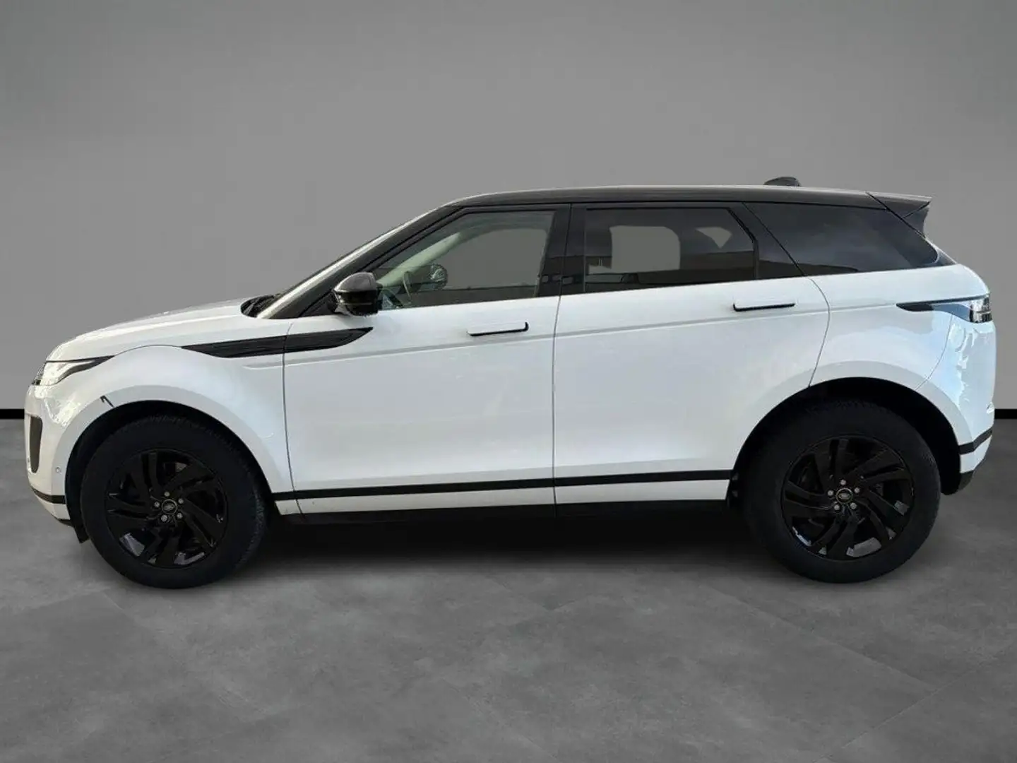 Land Rover Range Rover Evoque 2.0D I4 163 CV AWD Auto SE Bianco - 2