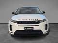 Land Rover Range Rover Evoque 2.0D I4 163 CV AWD Auto SE Bianco - thumbnail 7