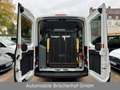 Ford Transit Kombi 350 L3 Trend Lift Rollstuhl/7-Sitz Weiß - thumbnail 9