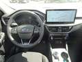 Ford Kuga Active 2.5L PHEV WiPa HUD MatrixLED AHK Pan Schwarz - thumbnail 13