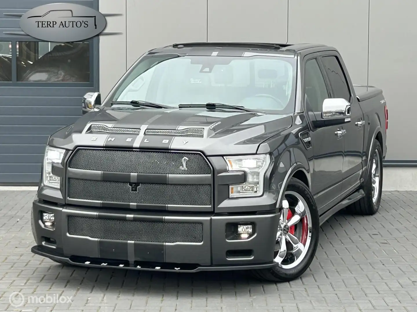 Ford F 150 USA Shelby Super Snake Gris - 1