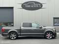 Ford F 150 USA Shelby Super Snake Gris - thumbnail 4