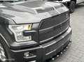 Ford F 150 USA Shelby Super Snake Gris - thumbnail 8