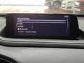 Mazda CX-30 2.5 e-Skyactiv-G Prime Line FWD 103kW Azul - thumbnail 29