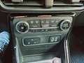 Ford EcoSport ECOSPORT 1.0 EcoBoost Aut. TITANIUM Blau - thumbnail 21
