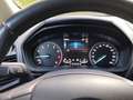 Ford EcoSport ECOSPORT 1.0 EcoBoost Aut. TITANIUM Blau - thumbnail 23