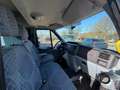 Ford Transit FT 300 L Trend / Mit Rollstuhllift / TÜV NEU Blau - thumbnail 10