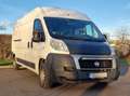 Fiat Ducato Fiat Ducato teilausgebaut als Wohnmobil / Van L4H2 Weiß - thumbnail 5