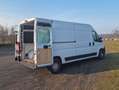 Fiat Ducato Fiat Ducato teilausgebaut als Wohnmobil / Van L4H2 Weiß - thumbnail 4