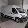 Fiat Ducato Fg. 35 2.3Mjt L3 H2 140CV Blanco - thumbnail 2