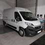 Fiat Ducato Fg. 35 2.3Mjt L3 H2 140CV Blanco - thumbnail 1