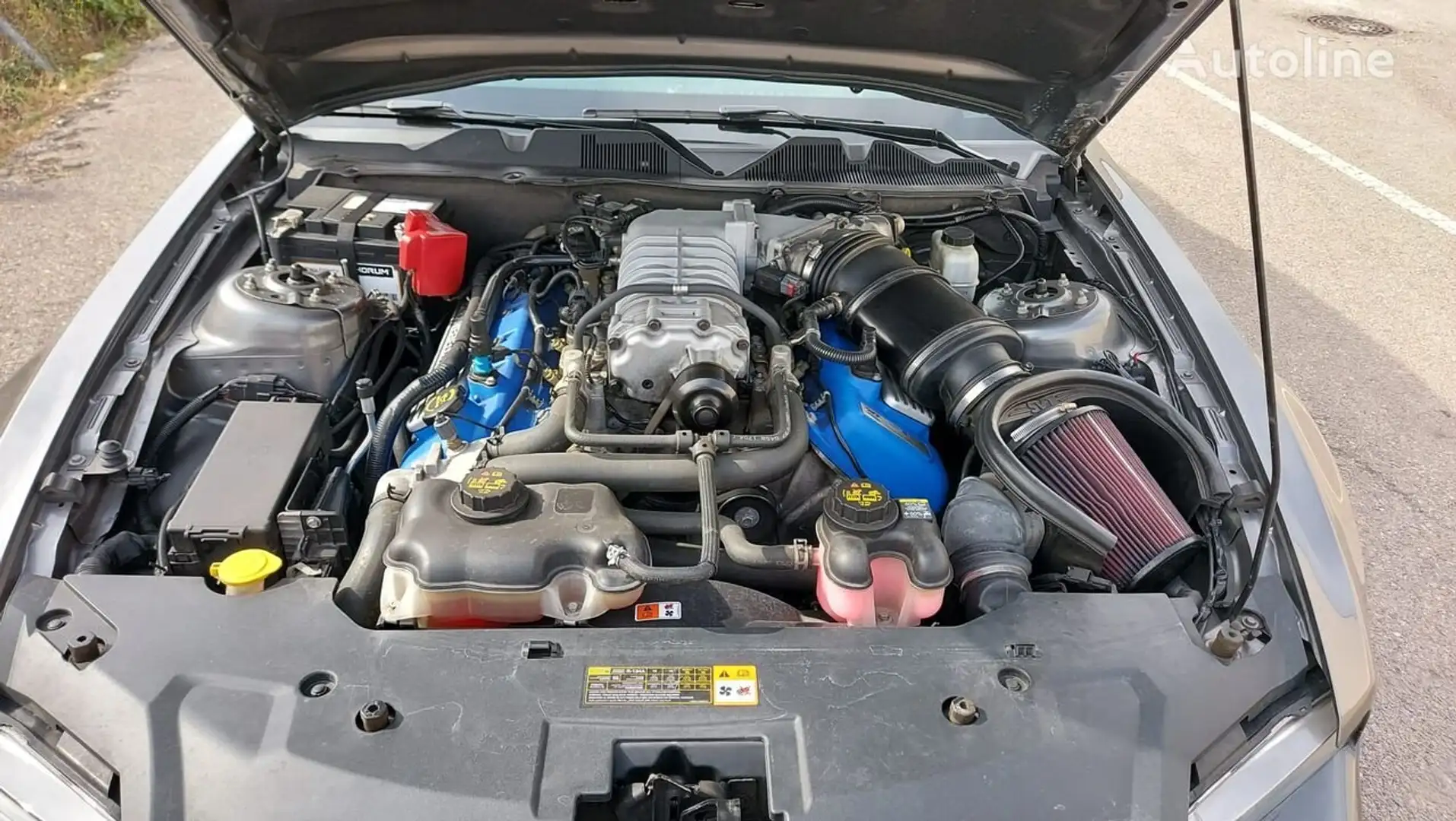 Ford Mustang SHELBY GT500 V8 coupé 550 ch - 2