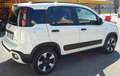 Fiat Panda CROSS 1.0 HYBRID S&S Sensori CarPlay Blanco - thumbnail 4