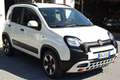 Fiat Panda CROSS 1.0 HYBRID S&S Sensori CarPlay Blanco - thumbnail 1