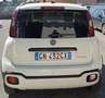 Fiat Panda CROSS 1.0 HYBRID S&S Sensori CarPlay Blanco - thumbnail 7
