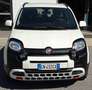 Fiat Panda CROSS 1.0 HYBRID S&S Sensori CarPlay Blanco - thumbnail 6