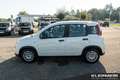 Fiat Panda Panda Hybrid  1.0 GSE 51kw (70PS) Weiß - thumbnail 8