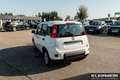 Fiat Panda Panda Hybrid  1.0 GSE 51kw (70PS) Blanco - thumbnail 7