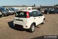 Fiat Panda Panda Hybrid  1.0 GSE 51kw (70PS) Weiß - thumbnail 5