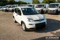 Fiat Panda Panda Hybrid  1.0 GSE 51kw (70PS) Weiß - thumbnail 3