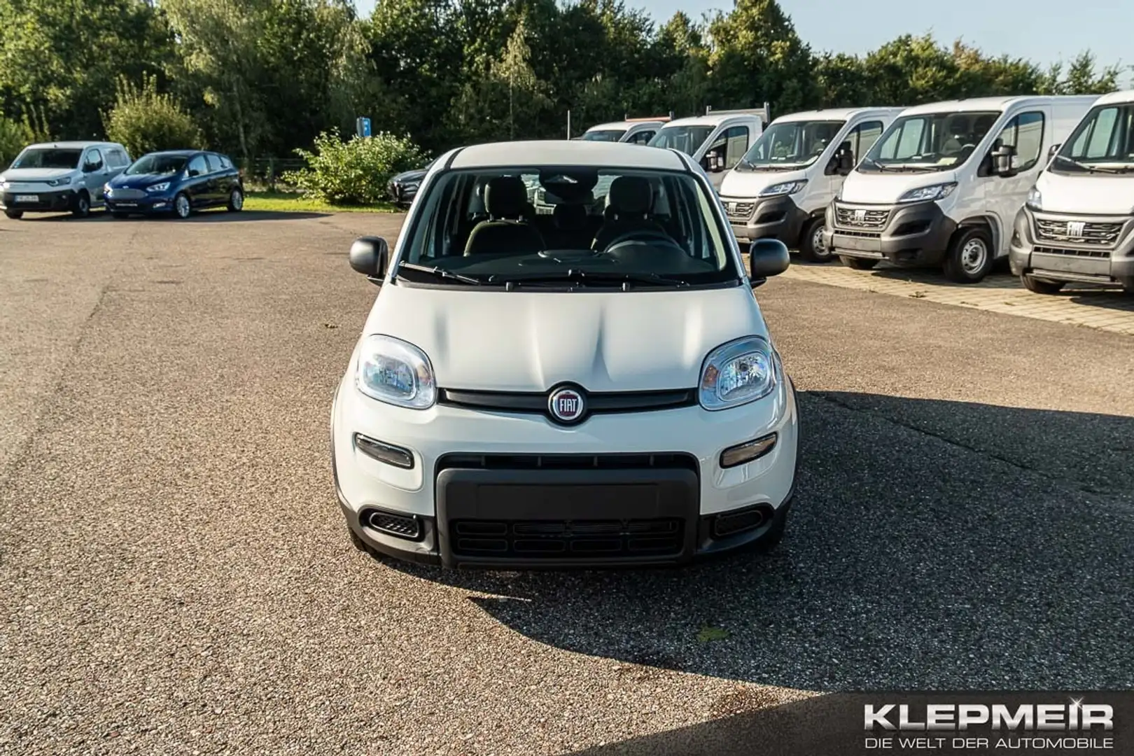 Fiat Panda Panda Hybrid  1.0 GSE 51kw (70PS) Blanco - 2