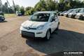 Fiat Panda Panda Hybrid  1.0 GSE 51kw (70PS) Blanco - thumbnail 1