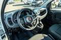 Fiat Panda Panda Hybrid  1.0 GSE 51kw (70PS) Blanco - thumbnail 10