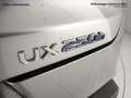 Lexus UX 250h 250h 2.0 luxury 2wd cvt my20 Gris - thumbnail 21
