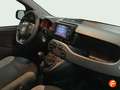 Fiat Panda City Life Hybrid 1.0 Gse 51kw (70CV) Gris - thumbnail 11