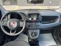 Fiat New Panda MY25 FIREFLY HYBRID 69CV Nero - thumbnail 10