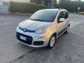 Fiat Panda 1.2benzina/69CV/neopatentati/Euro6/unico propr. Grigio - thumbnail 5