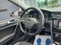 Volkswagen Golf Variant 1.4 TSI Business Edition - PANO / OPEN DAK - CAMER Grijs - thumbnail 24