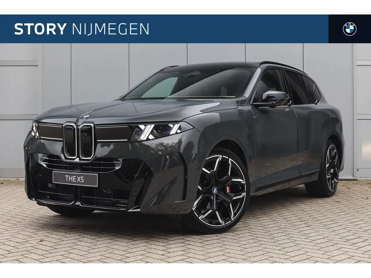 BMW X5 40 xDrive M Sport Automaat / Panoramadak / Trekhaa