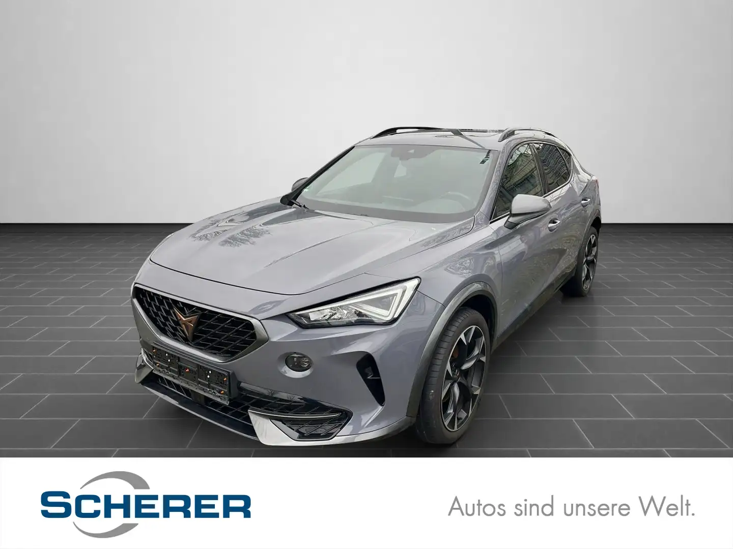 CUPRA Formentor 2.0 TDI Allrad DSG Panoramadach/NAVI/L Grau - 1