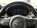 Kia Stinger GT 3.3T AWD Sportabgasanlage Glasdach Grau - thumbnail 10