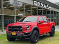 Ford F 150 USA 3.5L Raptor NL-AUTO LPG DEKSEL Rood - thumbnail 1