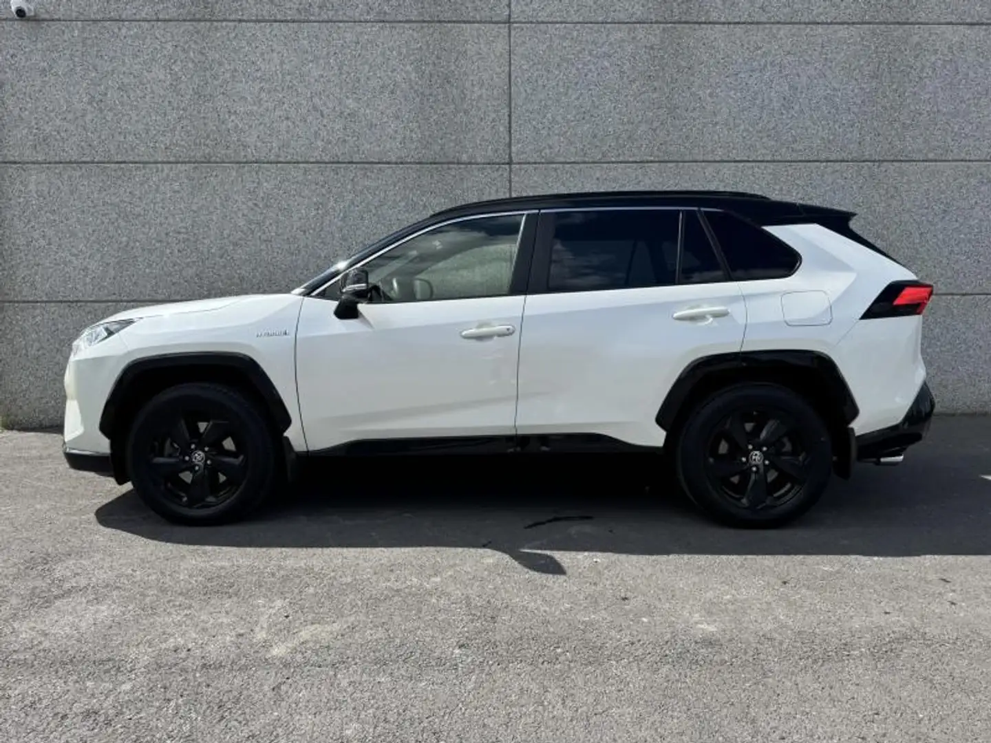 Toyota RAV 4 2.5 Hybrid AWD e-CVT Style Plu Blanc - 2