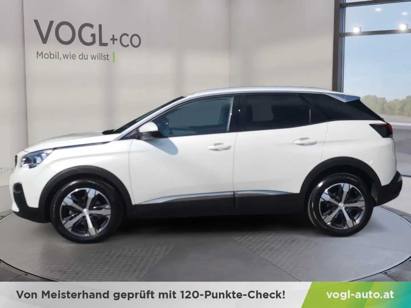Peugeot 3008 1,5 BlueHDi 130 S&S EAT8 SUV Diesel Weiß - 2