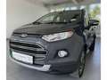 Ford EcoSport Titanium Grau - thumbnail 2