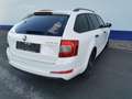 Skoda Octavia 1.6 TDI DPF Active Green tec+Klima+8-fach bereift+ - thumbnail 8