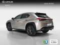 Lexus UX 250h Business 2WD Silber - thumbnail 5