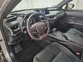 Lexus UX 250h Business 2WD Silber - thumbnail 11