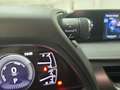 Lexus UX 250h Business 2WD Silber - thumbnail 21