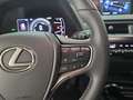 Lexus UX 250h Business 2WD Silber - thumbnail 17
