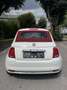 Fiat 500 CABRIO - thumbnail 6
