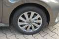 Mazda 2 Hybrid Sofort Verfügbar Automatik Select Brown - thumbnail 4
