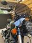 Indian Chief Dark Horse Verde - thumbnail 7