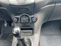 Ford Fiesta Trend Z.R ist neue Weiß - thumbnail 13