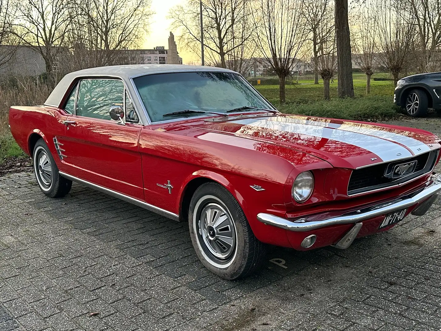 Ford Mustang Mustang undefined Rot - 1