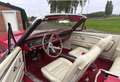 Ford Mustang Oldtimer Rouge - thumbnail 12